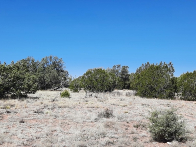 Off  Grid 3bed 2 bath manf. country home on 15 fenced acres - image 30