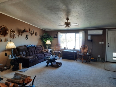 Off  Grid 3bed 2 bath manf. country home on 15 fenced acres - image 12