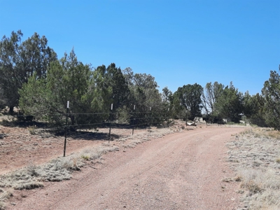 Off  Grid 3bed 2 bath manf. country home on 15 fenced acres - image 31
