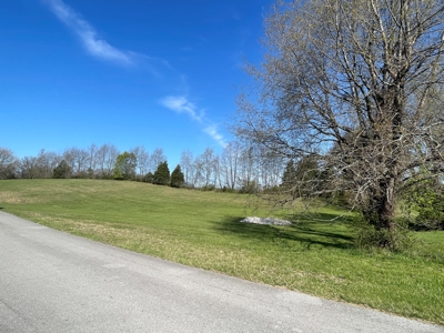 Prime Warren County Building Lot For Sale At Auction - image 7