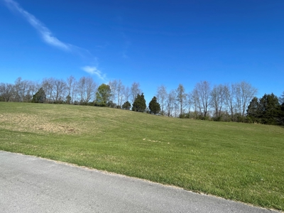 Prime Warren County Building Lot For Sale At Auction - image 4