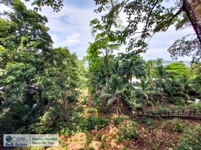 Titled Jungle Home, Carenero Island, Bocas del Toro - image 19