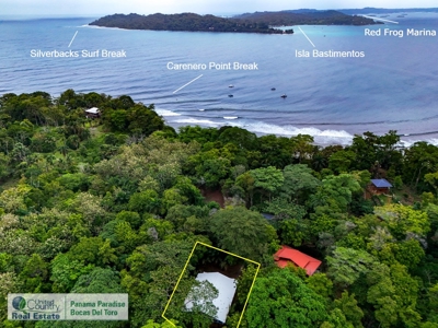 Titled Jungle Home, Carenero Island, Bocas del Toro - image 31