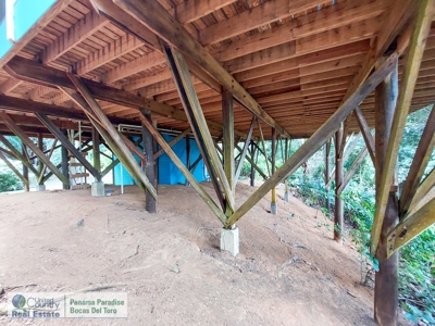 Titled Jungle Home, Carenero Island, Bocas del Toro - image 25