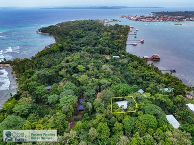 Titled Jungle Home, Carenero Island, Bocas del Toro - image 29