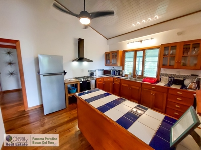Titled Jungle Home, Carenero Island, Bocas del Toro - image 3