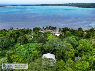 Titled Jungle Home, Carenero Island, Bocas del Toro - image 30