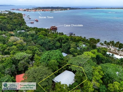 Titled Jungle Home, Carenero Island, Bocas del Toro - image 28