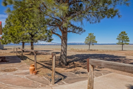 Fully-Fenced Cattle Ranch with Water Rights & Mountain Views - image 5