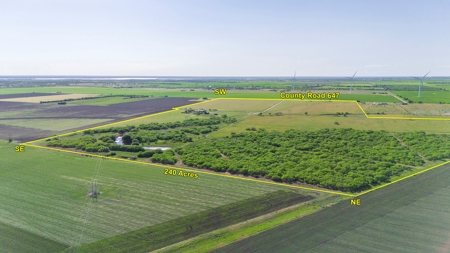 240 Acres in San Patricio County, TX - image 24