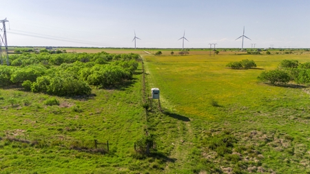240 Acres in San Patricio County, TX - image 20