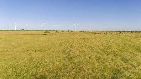 240 Acres in San Patricio County, TX - image 30