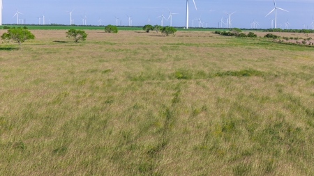 240 Acres in San Patricio County, TX - image 31
