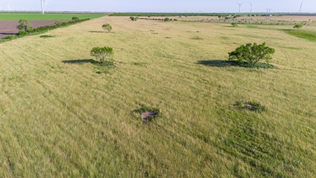 240 Acres in San Patricio County, TX - image 29