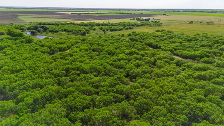 240 Acres in San Patricio County, TX - image 26