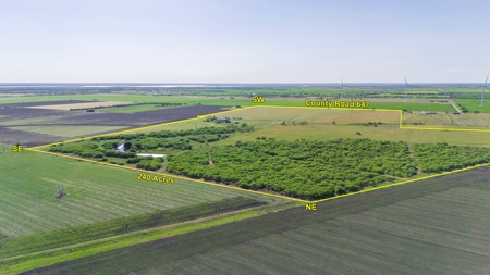 240 Acres in San Patricio County, TX - image 25