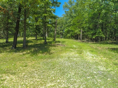 Lot 15 in Landings North Subdivision on Bull Shoals Lake - image 16