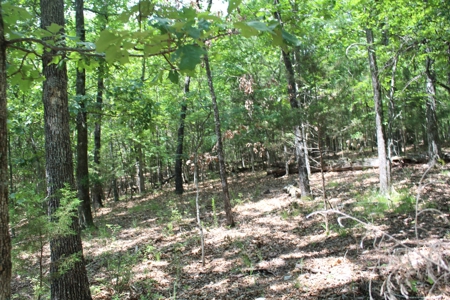 Lot 15 in Landings North Subdivision on Bull Shoals Lake - image 6
