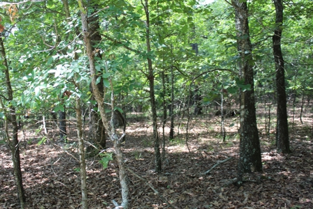 Lot 15 in Landings North Subdivision on Bull Shoals Lake - image 3