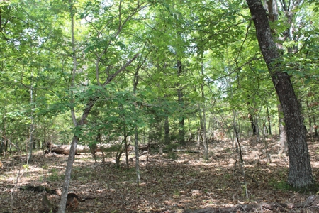 Lot 15 in Landings North Subdivision on Bull Shoals Lake - image 7