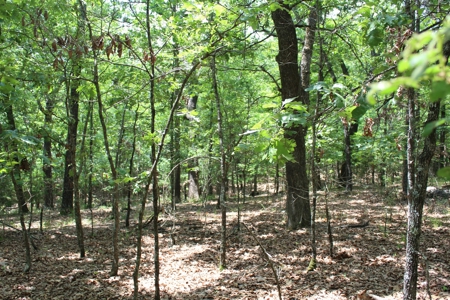 Lot 4 in Landings North Subdivision on Bull Shoals Lake - image 3