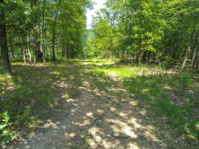 Lot 4 in Landings North Subdivision on Bull Shoals Lake - image 13