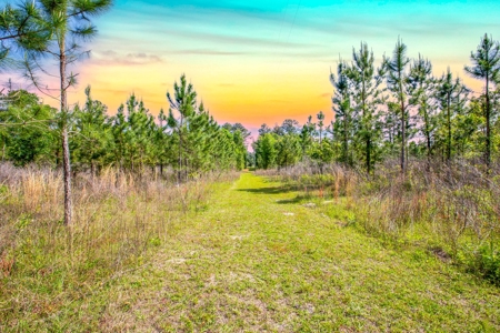Home On 10 Acres Only Minutes From Historic Suwannee River! - image 20