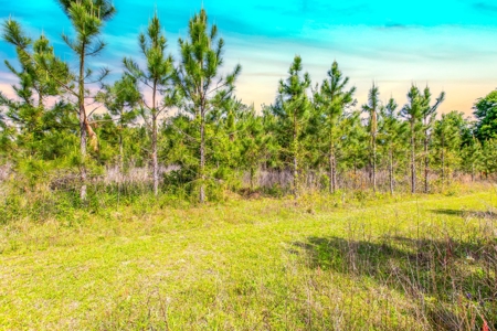 Home On 10 Acres Only Minutes From Historic Suwannee River! - image 21