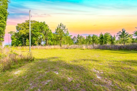 Home On 10 Acres Only Minutes From Historic Suwannee River! - image 17