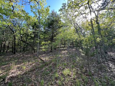 Land for Sale- Wilburton, Oklahoma - image 9