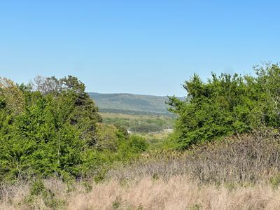 Land for Sale- Wilburton, Oklahoma - image 10