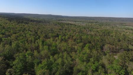 Land for Sale- Wilburton, Oklahoma - image 3