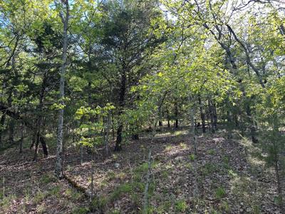 Land for Sale- Wilburton, Oklahoma - image 8