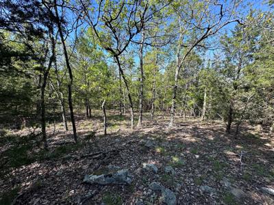 Land for Sale- Wilburton, Oklahoma - image 6