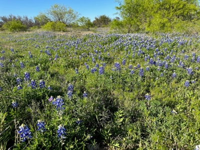 Lot 740 at The Hideout Golf Resort at Lake Brownwood, TX - image 14