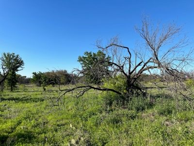 Lot 740 at The Hideout Golf Resort at Lake Brownwood, TX - image 12