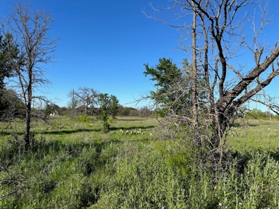 Lot 740 at The Hideout Golf Resort at Lake Brownwood, TX - image 10