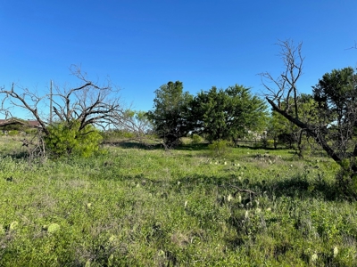 Lot 740 at The Hideout Golf Resort at Lake Brownwood, TX - image 5