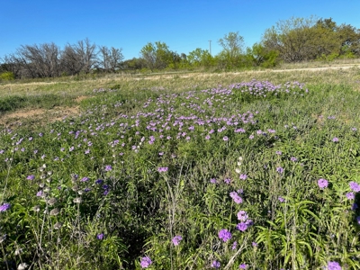 Lot 740 at The Hideout Golf Resort at Lake Brownwood, TX - image 1