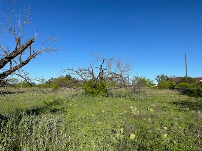 Lot 740 at The Hideout Golf Resort at Lake Brownwood, TX - image 9