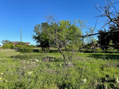 Lot 740 at The Hideout Golf Resort at Lake Brownwood, TX - image 8