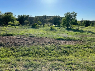 Lot 740 at The Hideout Golf Resort at Lake Brownwood, TX - image 3