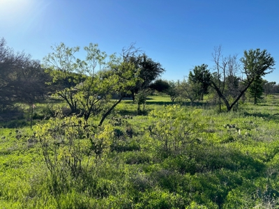 Lot 740 at The Hideout Golf Resort at Lake Brownwood, TX - image 13