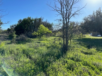 Lot 740 at The Hideout Golf Resort at Lake Brownwood, TX - image 7
