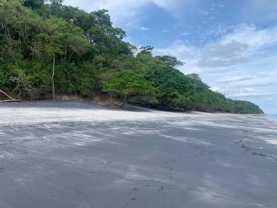 Las Uvas Land near the Vía Interamericana - image 1