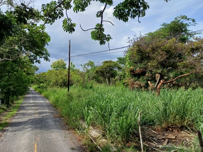 Las Uvas Land near the Vía Interamericana - image 3