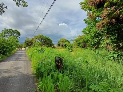 Las Uvas Land near the Vía Interamericana - image 7