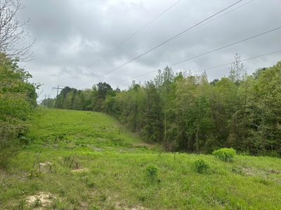 Hunting Property for Sale W/ RoW W/ Creek in Hempstead Co.! - image 1