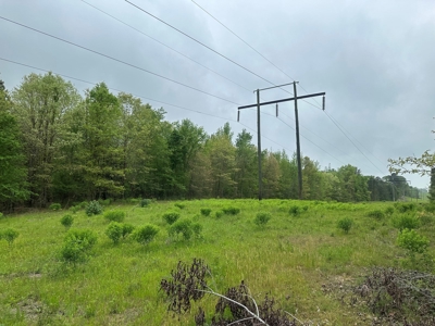 Hunting Property for Sale W/ RoW W/ Creek in Hempstead Co.! - image 2