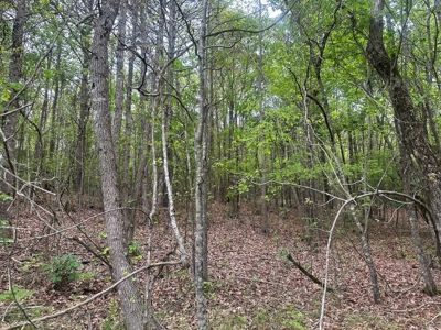 Hunting Property for Sale W/ RoW W/ Creek in Hempstead Co.! - image 5